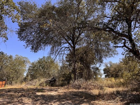 Land, La Vernia, TX