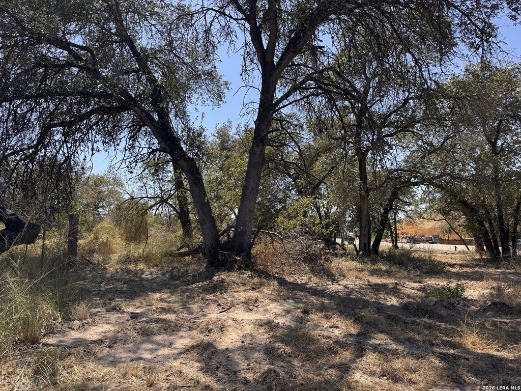Picture 6