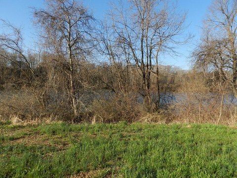 Residential Land Near St. Joseph River