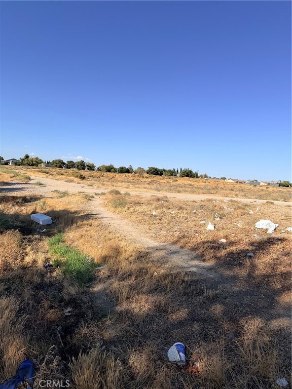 Picture 27