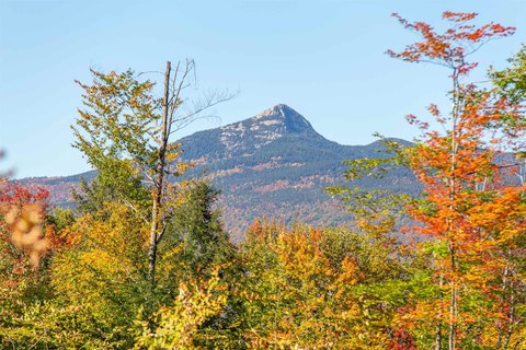Land, Tamworth, NH