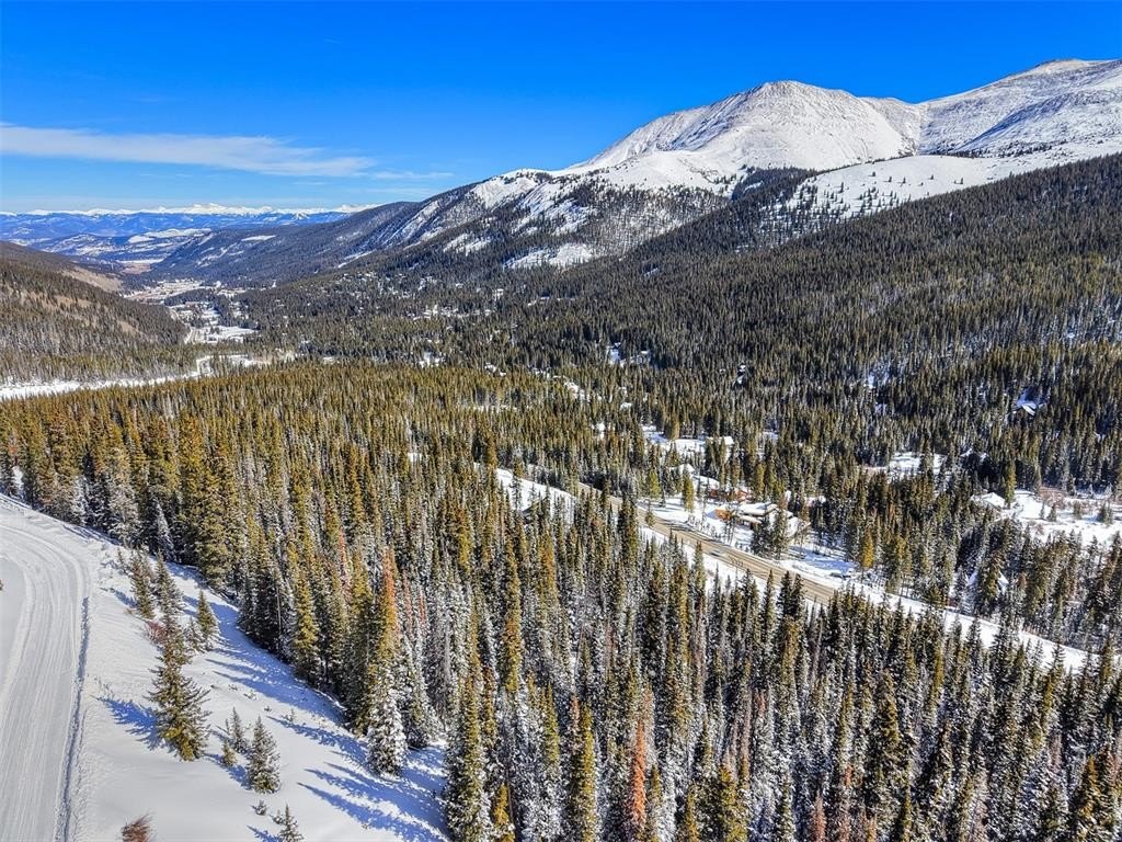 Breckenridge Land with Approved Permits