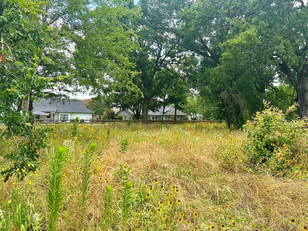 Picture 12