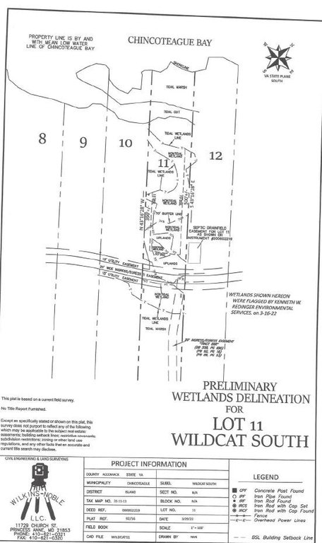 Picture 11