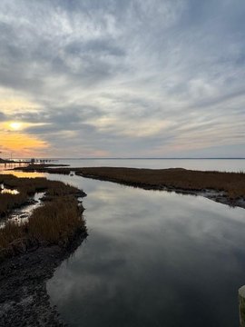 LAND - CHINCOTEAGUE, VA