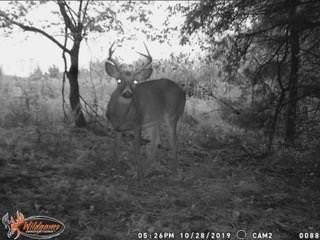 Picture 15
