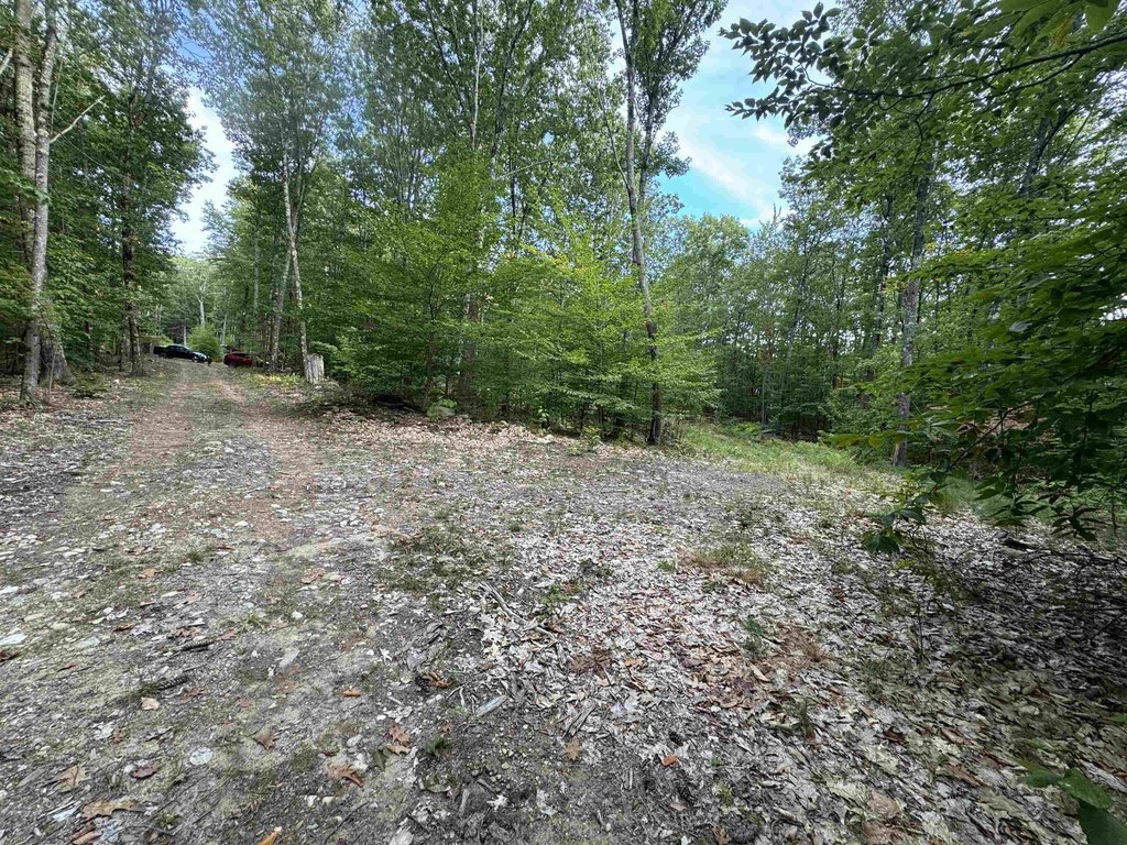 Picture 20