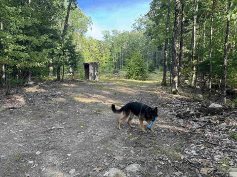 Land, Ossipee, NH