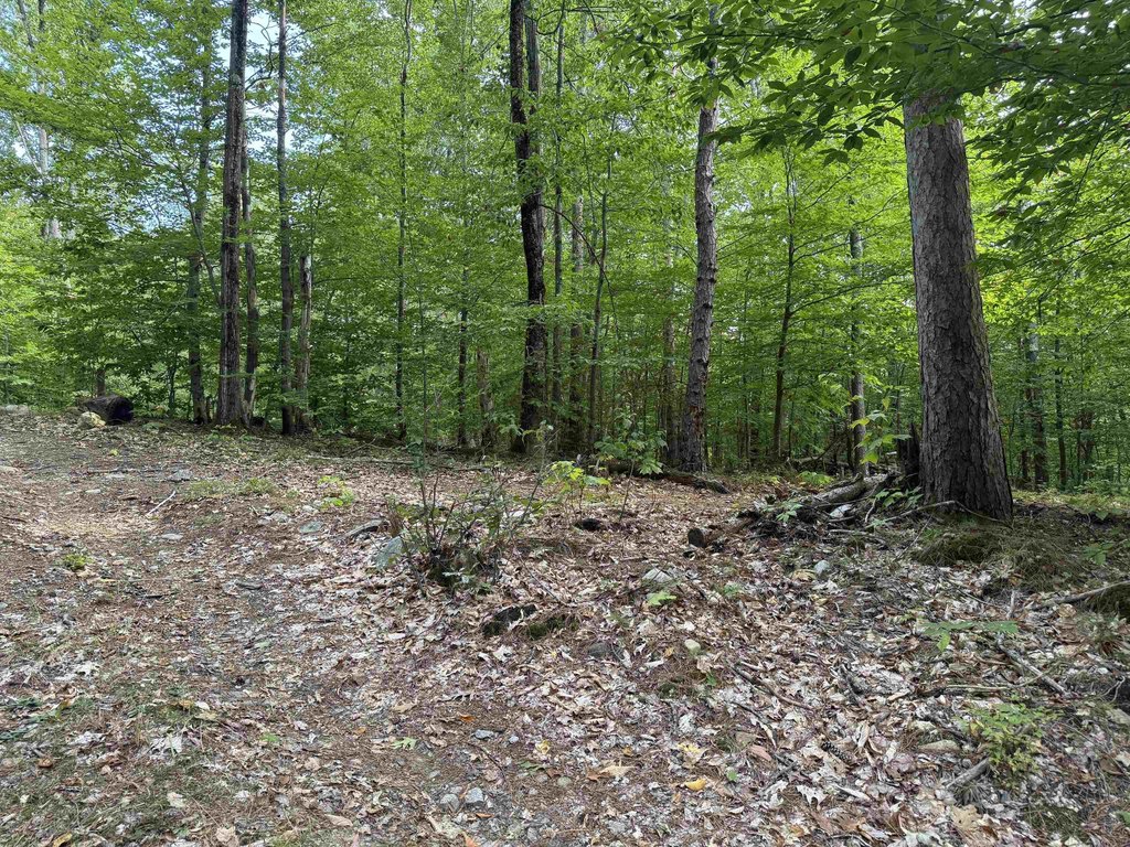 Picture 19