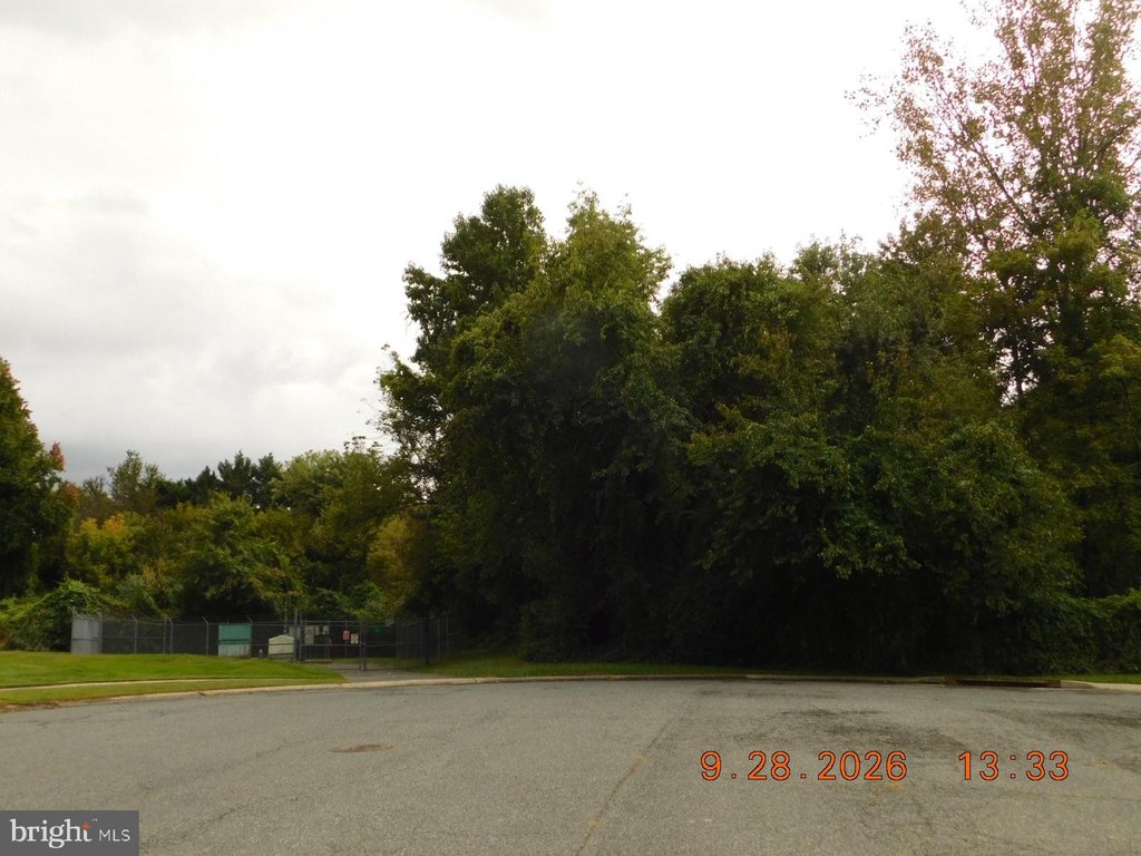 Picture 12