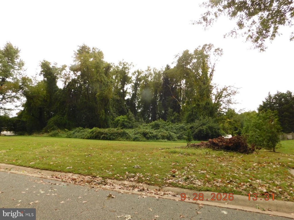 Picture 9