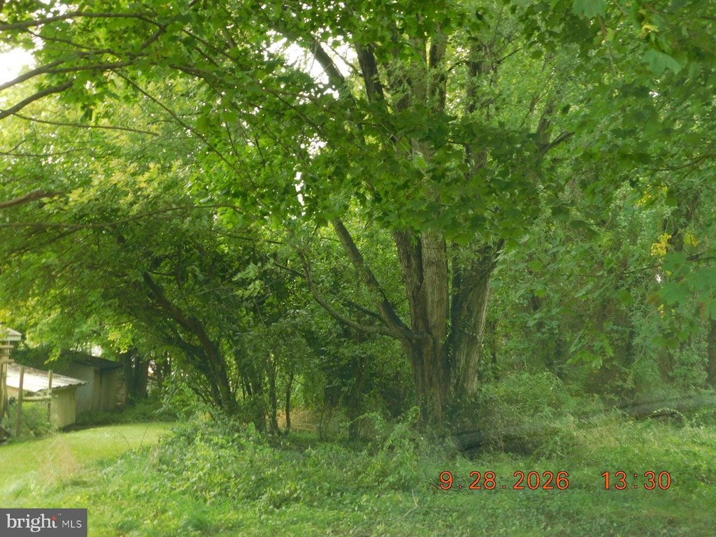 Picture 4