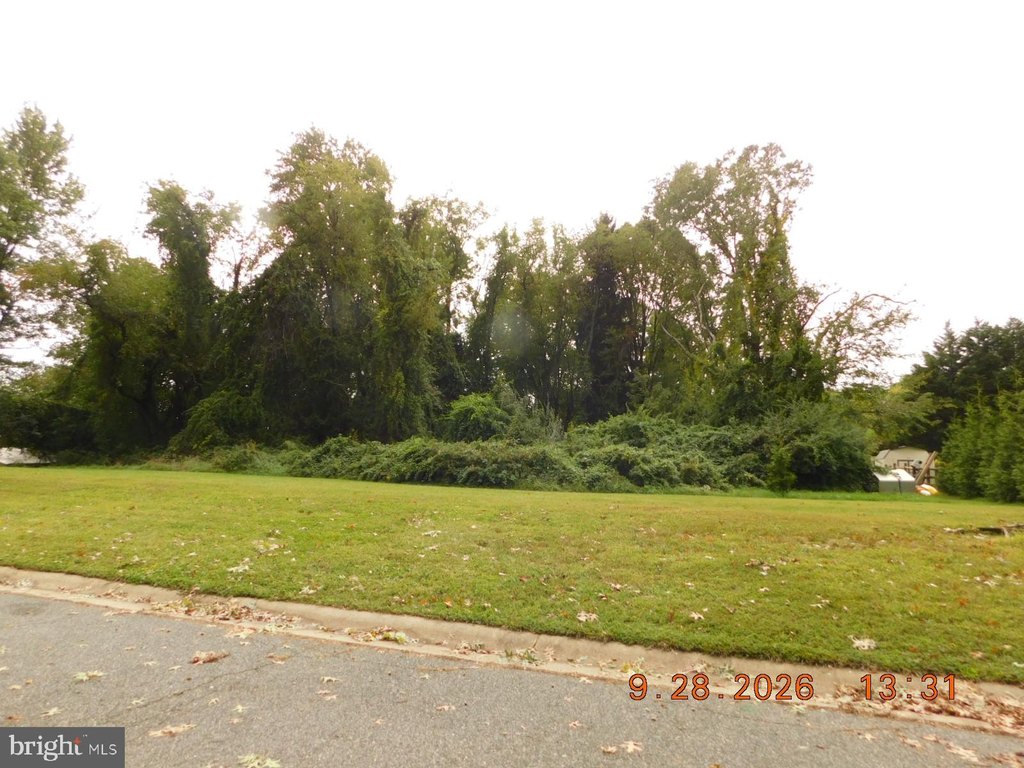 Picture 8