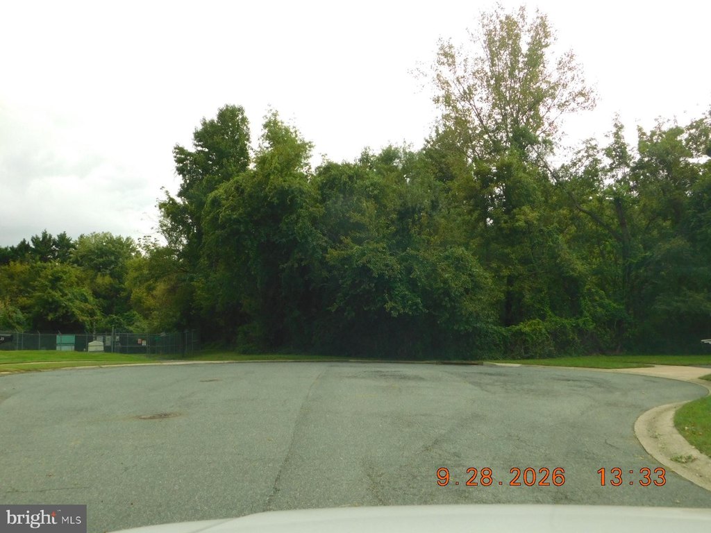 Picture 10