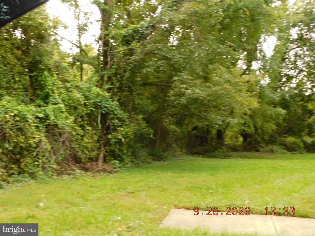 Picture 14