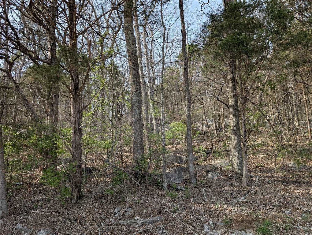 Picture 3