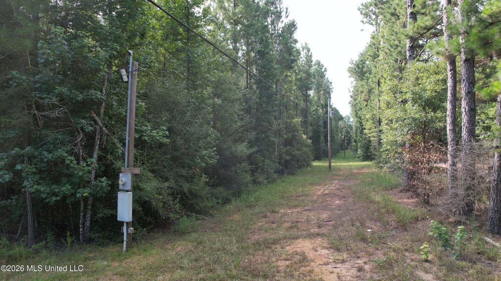 Picture 2