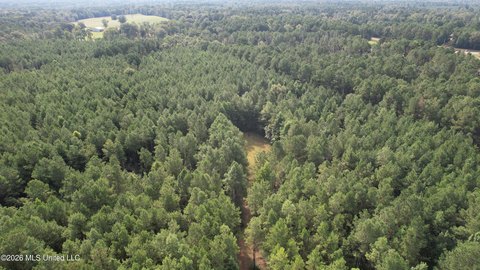 Land, Liberty, MS