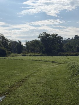 LAND - Cavendish, VT