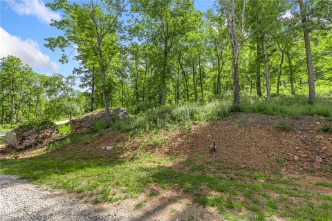 Residential Lot in Harrison, AR