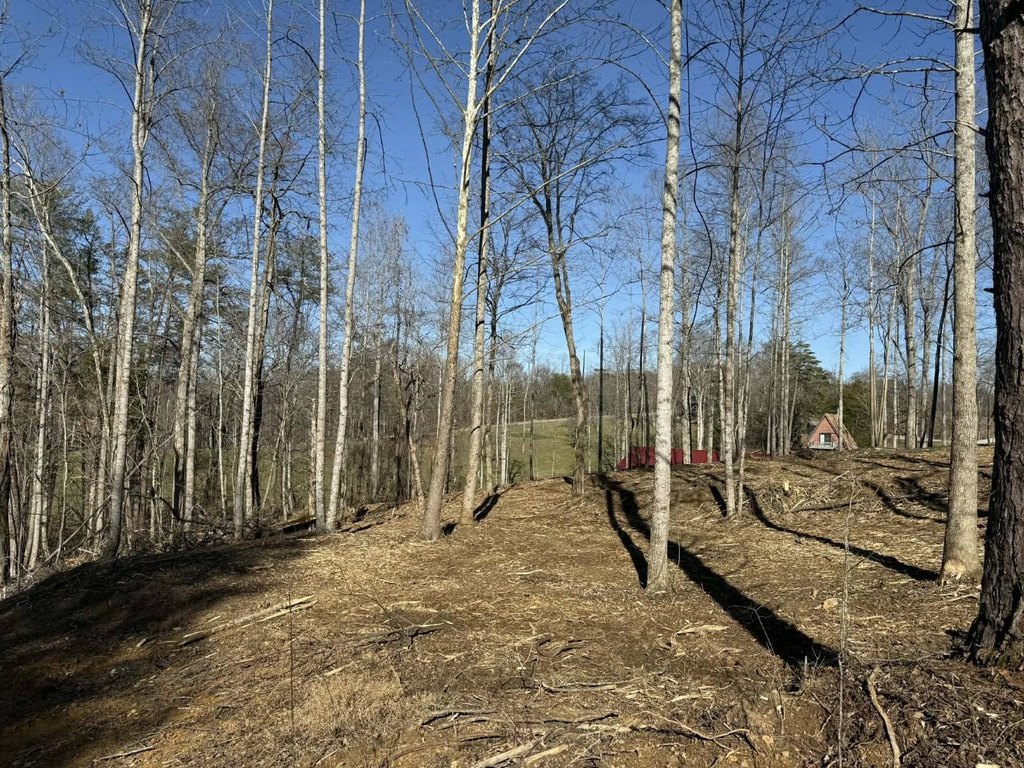 Picture 7