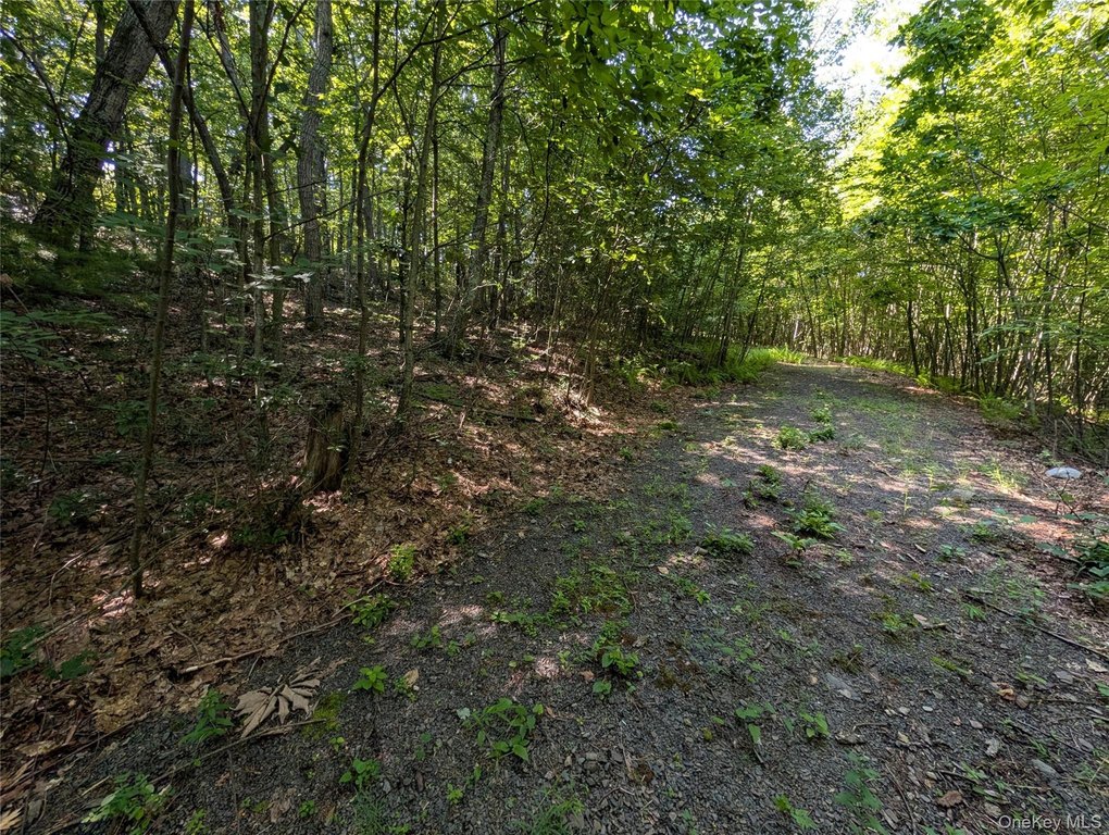 Picture 5