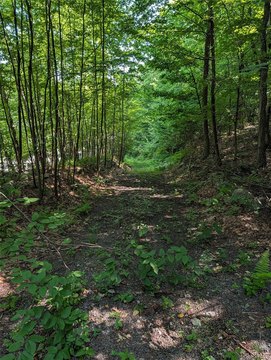 Land, Port Jervis, NY
