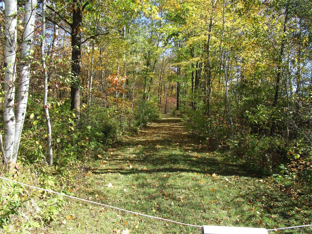 Picture 10