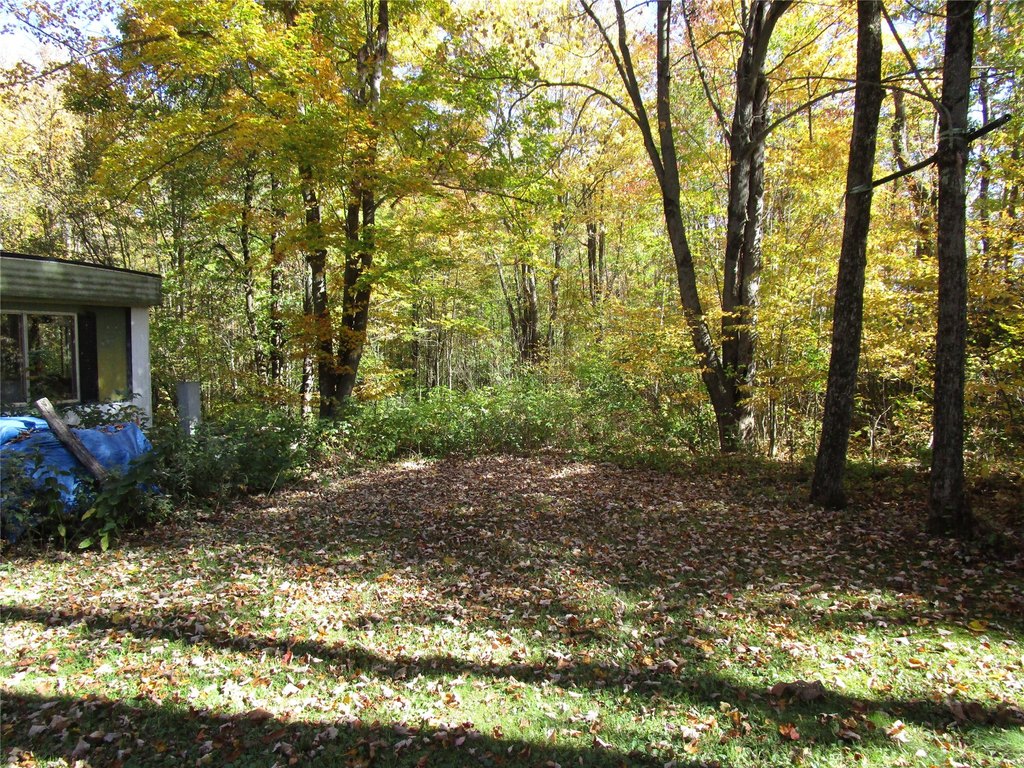 Picture 20
