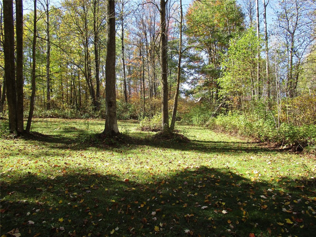 Picture 18