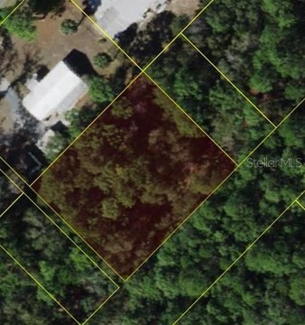 LAND - HOMOSASSA, FL