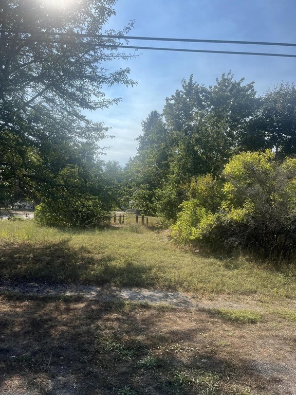 Picture 7