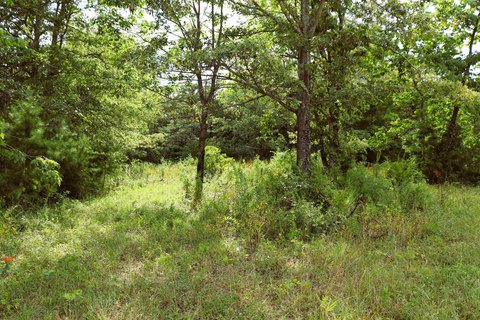 Unrestricted Land with Breathtaking Views