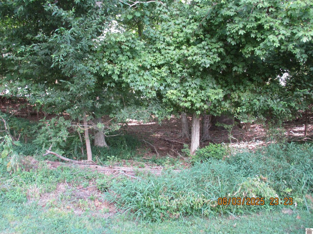 Picture 3