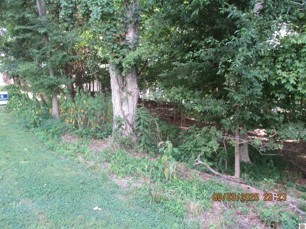 Picture 2
