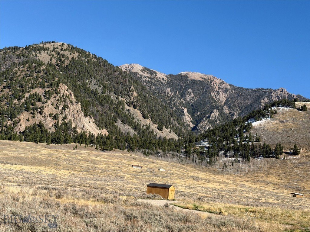 Picture 4