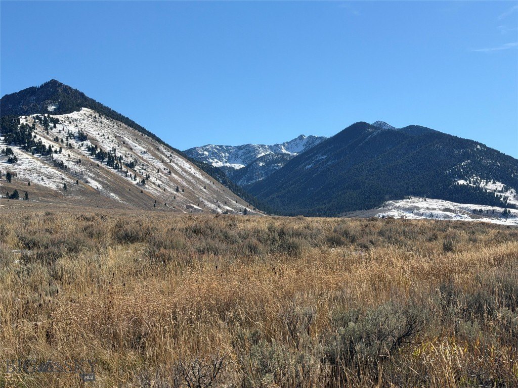 Picture 11