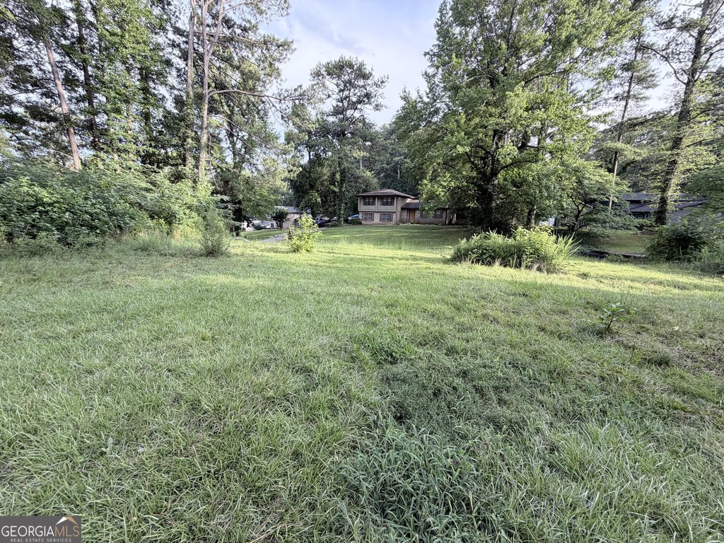 Picture 5