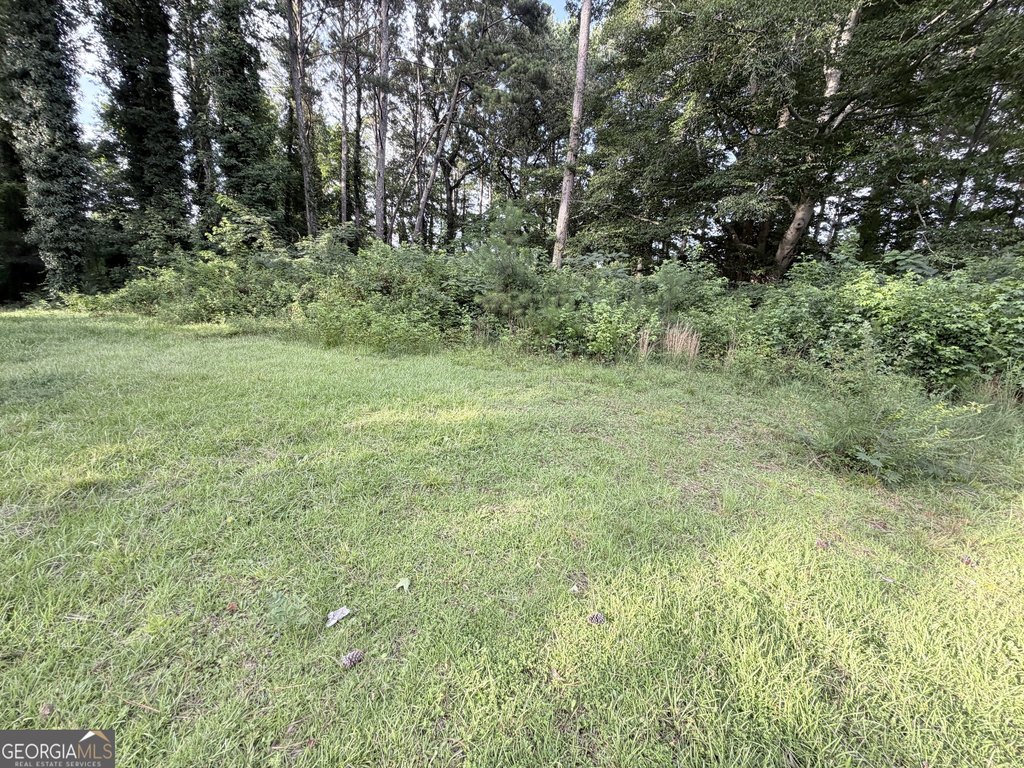 Picture 4