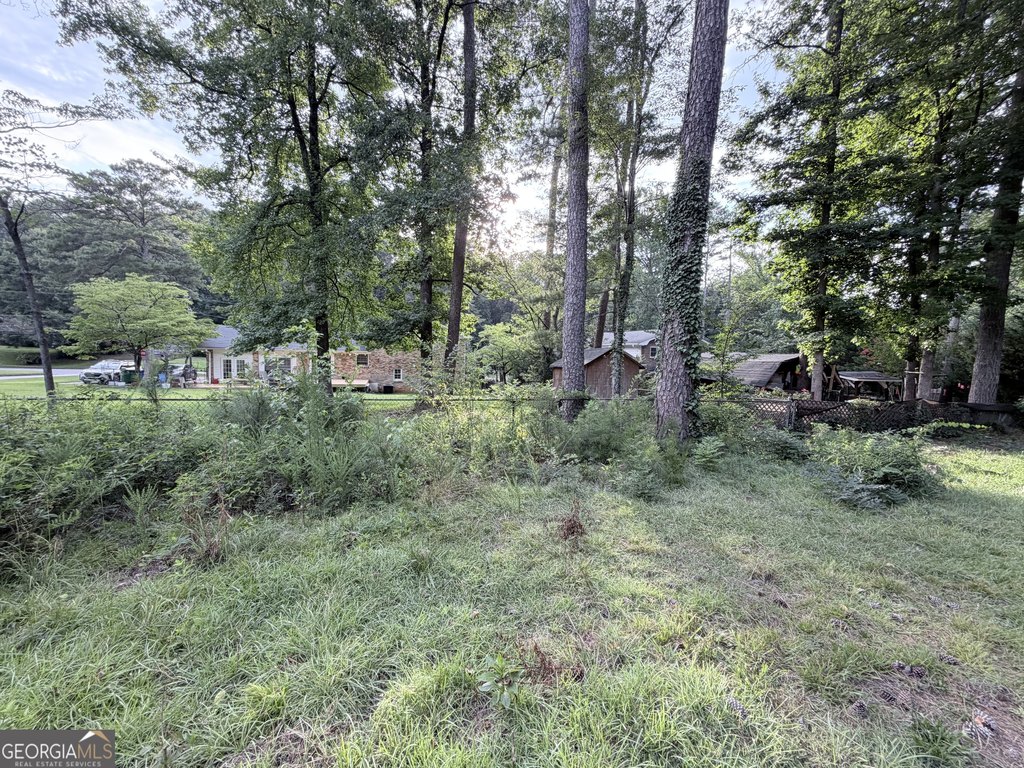 Picture 8