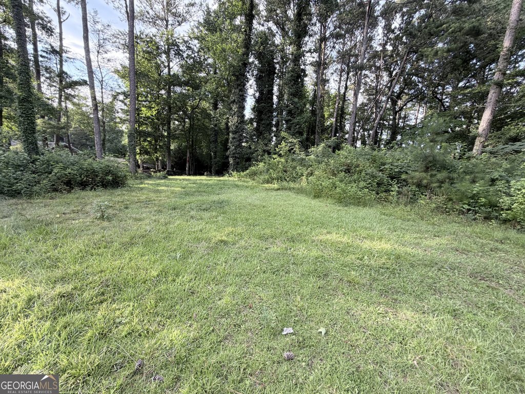 Picture 7