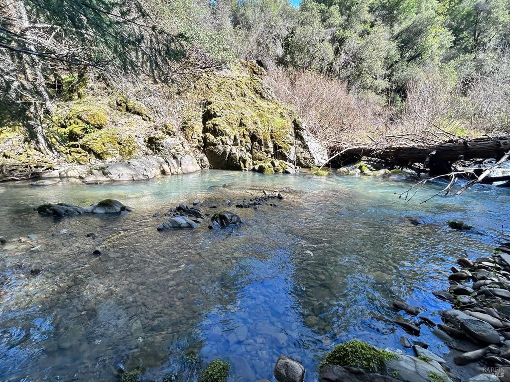 Picture 17