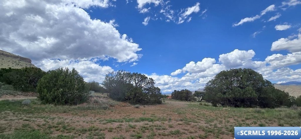 Picture 19