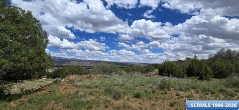 LAND - Mimbres, NM