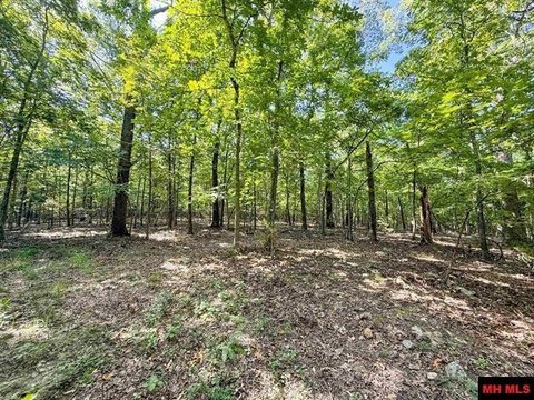 LAND - Mountain Home, AR