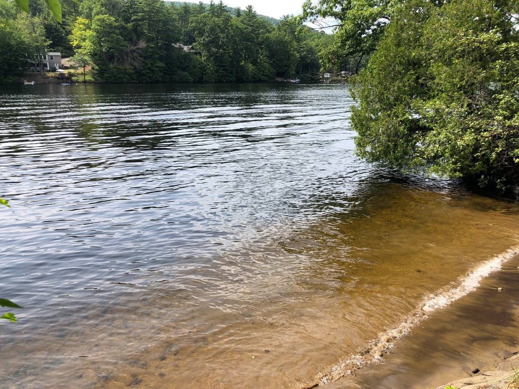 Picture 28