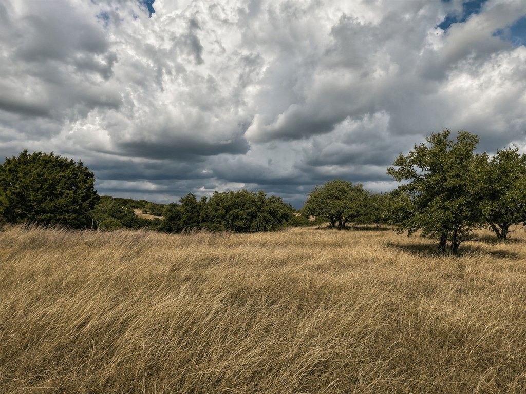 Picture 17