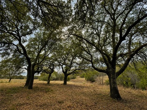 Hilltop Acreage Lot in Gated Community