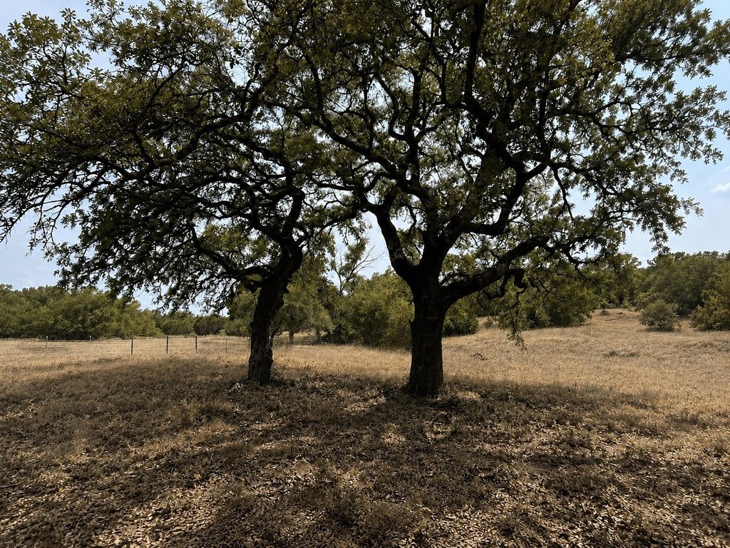 Picture 12