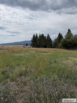 Land, Island Park, ID